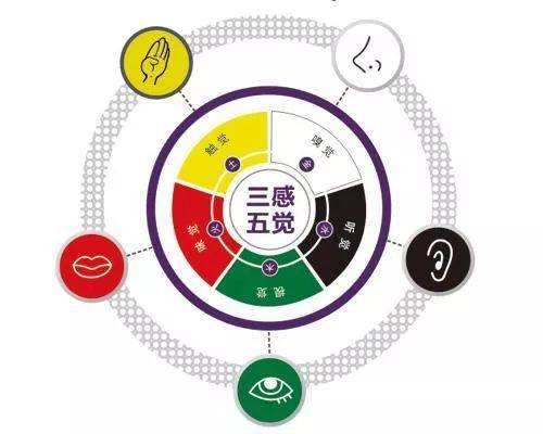 電腦短信群發平臺